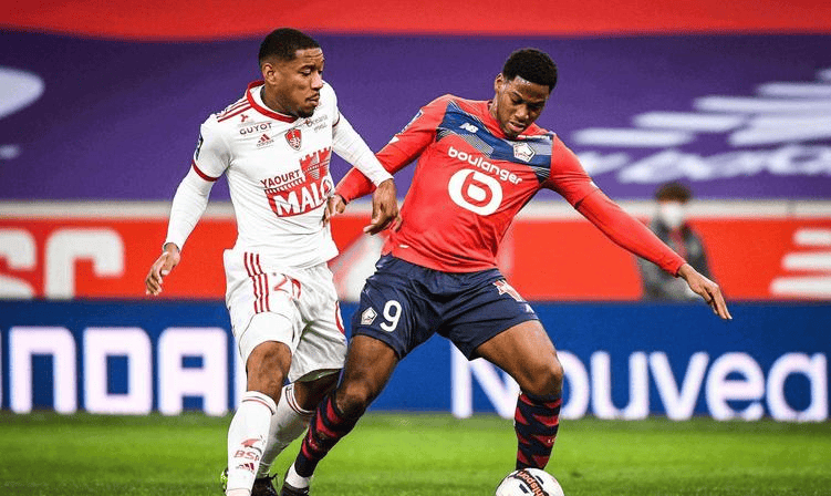 他用有限球 他用有限球